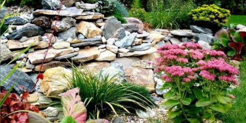Rockery - podrobný popis výběru designu a funkcí aplikace v zahradě a na místě (145 fotografií)