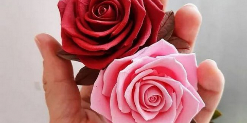 Papírové růže