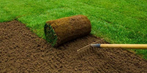 Válcované trávníku - 120 fotografií hlavních druhů a krok za krokem popis terénní úpravy s pomocí válcovaného trávníku