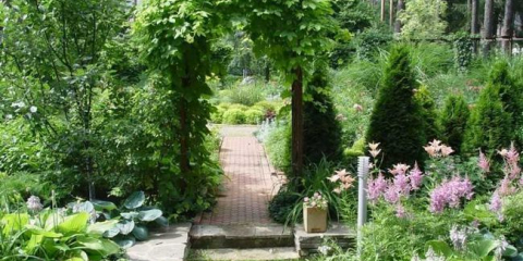 Zahradní oblouk - 140 fotografií a video popis, jak ozdobit pozemek zahradními oblouky