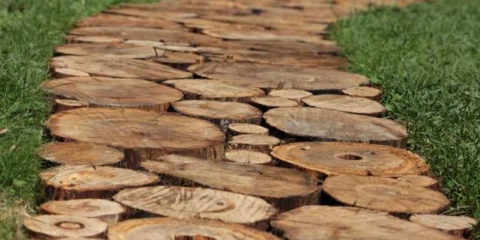Zahradní tratě: 130 fotografií a video popis nejlepších nápadů uspořádání pro různé styly