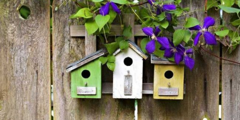 Zahradní dekor - 120 fotografií nejlepší registrace a zajímavé zahradní dekorace nápady