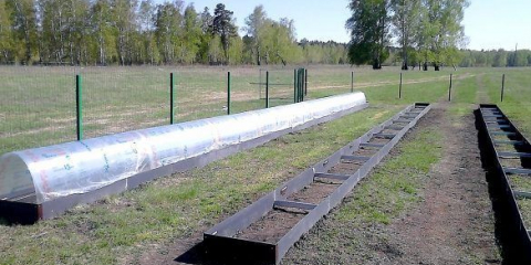 Břidlice + sec = výtěžné hrozny