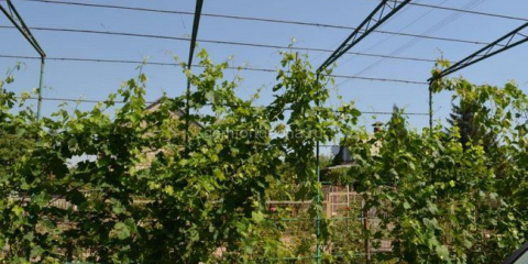 Handler pro hrozny: kresby, výrobní postup