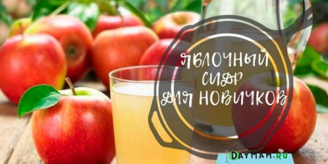 Jablečný mošt doma - jednoduché krok za krokem recepty