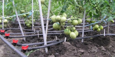 Svépomocný zavlažovací a zavlažovací systém pro zahradu