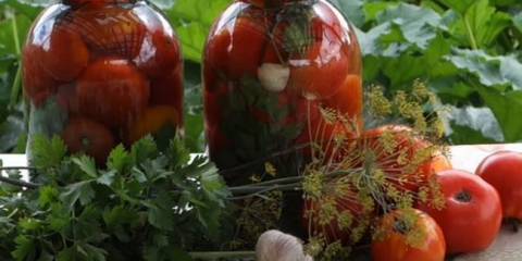 Solená rajčata: 10 chutných a jednoduchých receptů na zimu