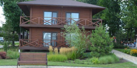 Borovice na zahradní pozemek - klady a nevýhody