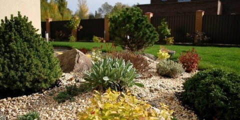 Vytvoření rocory na stránkách - master class