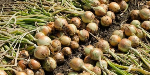 Úklidové termíny pro skladování v roce 2022