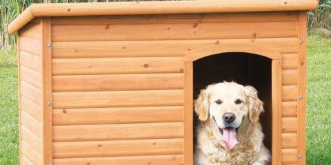 Vybudovat útulný booth pro psa s ryobi