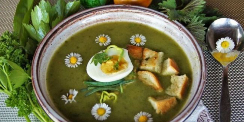 Kopřivová polévka: 7 receptů na jarní kopřivovou polévku