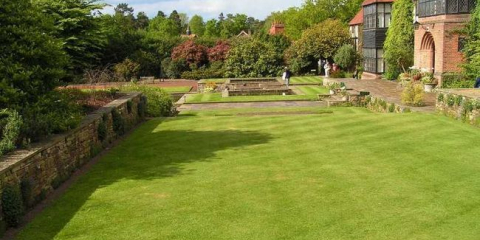 Tráva na trávník - tipy pro výběr odrůdy, pravidla pro pokládku a vlastnosti pěstování (150 fotografií)