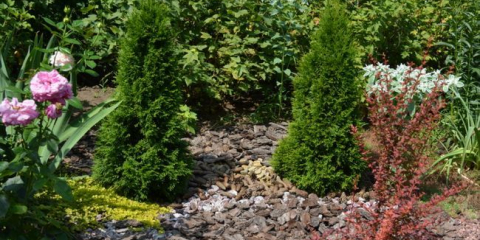 Hnojivo pro květiny na zahradě - druhy zálivek pro zlepšení kvetení