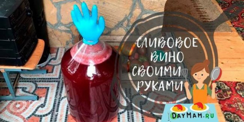 Švestkové víno doma: top 7 jednoduchých receptů krok za krokem