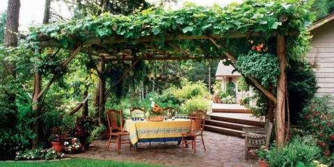 Hrozny kolem altánu