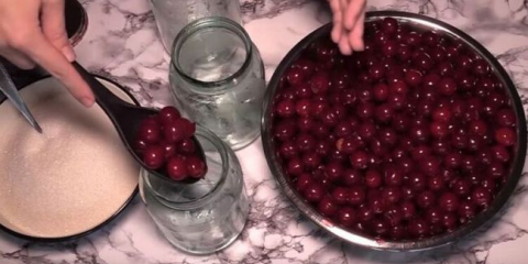 Cherry ve své vlastní kostní šťávě pro zimu