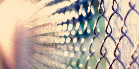 Plot z mřížky výzvy s vlastními rukama - budování, instalace a péče o plot (120 fotografií + video)