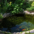 Dekorativní rybník v zemi: druhy, design, péče, stavební instrukce