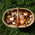 Léčivé vlastnosti hub: liška, smrž smrž, muchovník červený