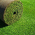 Nejlepší trávníková tráva: typy a vlastnosti trávníkového krytu. Vlastnosti použití trávy v krajinném designu (120 fotografií a videí)