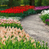 Nejlepší cibulovité květiny pro zahradu - názvy a popisy, pravidla výběru
