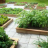 Zahrada v oblasti země - instrukce krok za krokem jak rozbít správnou zahradu (130 fotografií)