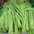 Přistání asparagus fazole v roce 2022: termíny, pěstování, péče