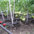 Svépomocný zavlažovací a zavlažovací systém pro zahradu
