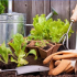 Tipy pro zahradníky a zahradníky: triky a tajemství