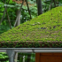 Zelená střecha. Historie, funkce, aplikace.